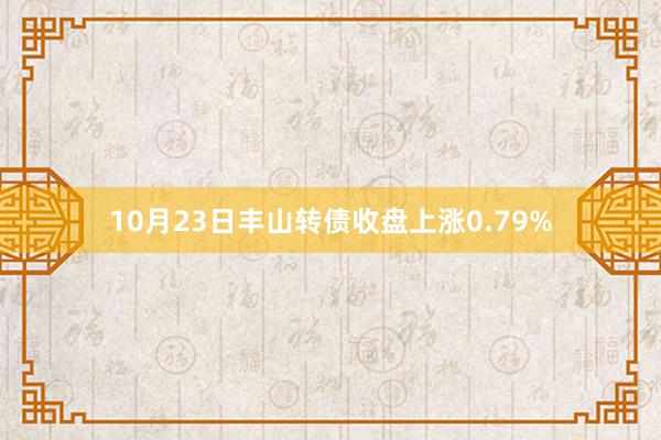 10月23日丰山转债收盘上涨0.79%