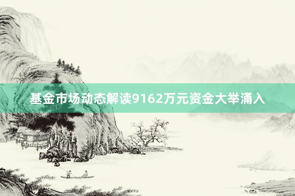 基金市场动态解读9162万元资金大举涌入