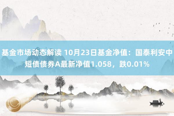 基金市场动态解读 10月23日基金净值：国泰利安中短债债券A最新净值1.058，跌0.01%