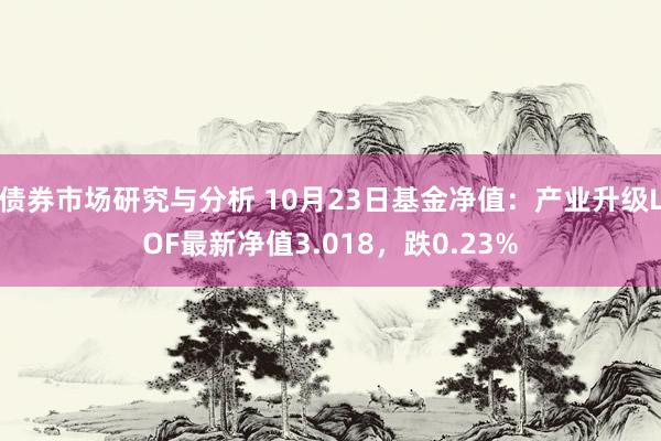 债券市场研究与分析 10月23日基金净值：产业升级LOF最新净值3.018，跌0.23%