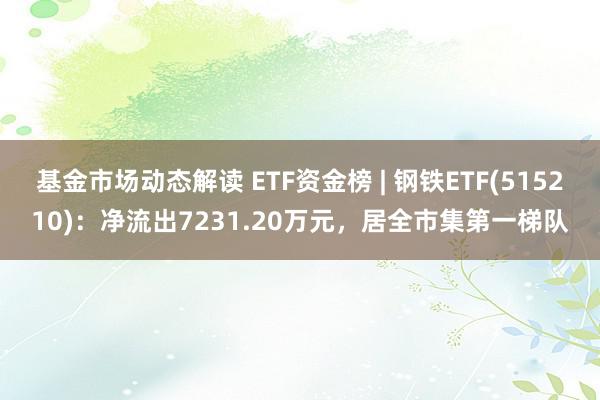 基金市场动态解读 ETF资金榜 | 钢铁ETF(515210)：净流出7231.20万元，居全市集第一梯队