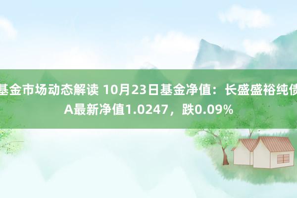 基金市场动态解读 10月23日基金净值：长盛盛裕纯债A最新净值1.0247，跌0.09%