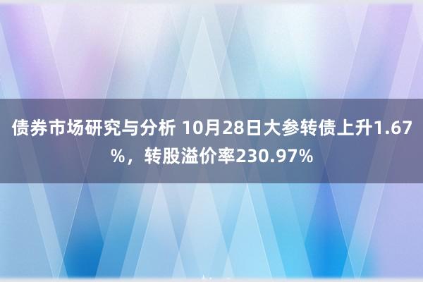 债券市场研究与分析 10月28日大参转债上升1.67%，转股溢价率230.97%