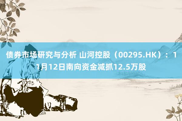 债券市场研究与分析 山河控股（00295.HK）：11月12日南向资金减抓12.5万股