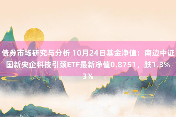 债券市场研究与分析 10月24日基金净值：南边中证国新央企科技引颈ETF最新净值0.8751，跌1.3%