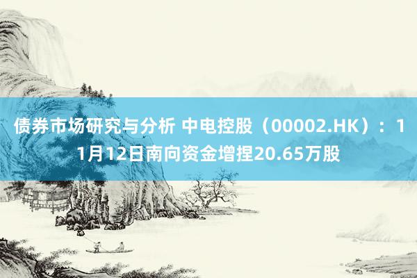 债券市场研究与分析 中电控股（00002.HK）：11月12日南向资金增捏20.65万股