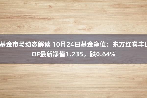 基金市场动态解读 10月24日基金净值：东方红睿丰LOF最新净值1.235，跌0.64%