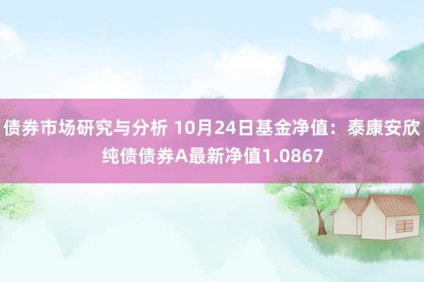 债券市场研究与分析 10月24日基金净值：泰康安欣纯债债券A最新净值1.0867