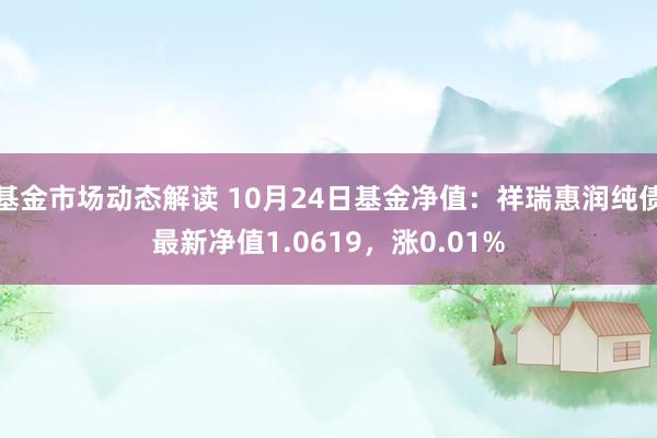 基金市场动态解读 10月24日基金净值：祥瑞惠润纯债最新净值1.0619，涨0.01%