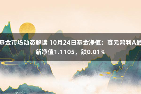 基金市场动态解读 10月24日基金净值：鑫元鸿利A最新净值1.1105，跌0.01%