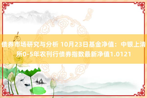 债券市场研究与分析 10月23日基金净值：中银上清所0-5年农刊行债券指数最新净值1.0121