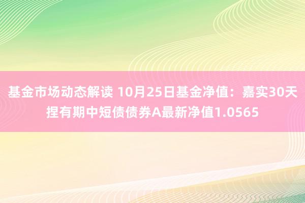 基金市场动态解读 10月25日基金净值：嘉实30天捏有期中短债债券A最新净值1.0565