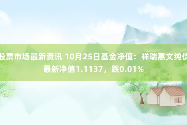 股票市场最新资讯 10月25日基金净值：祥瑞惠文纯债最新净值1.1137，跌0.01%