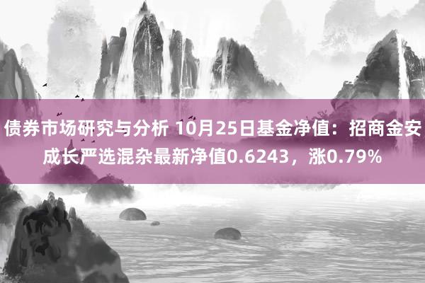 债券市场研究与分析 10月25日基金净值：招商金安成长严选混杂最新净值0.6243，涨0.79%