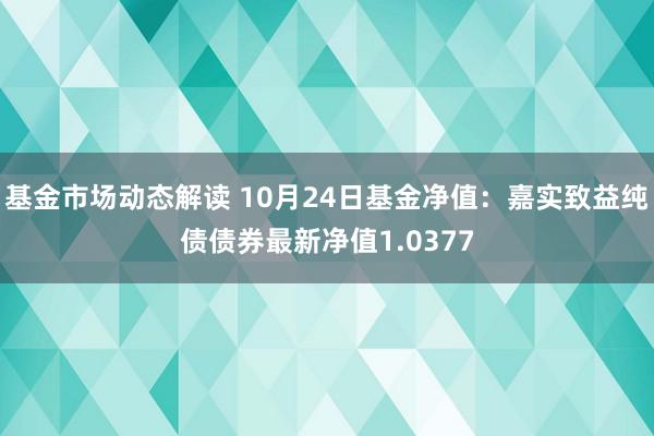 基金市场动态解读 10月24日基金净值：嘉实致益纯债债券最新净值1.0377