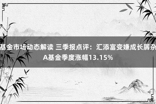 基金市场动态解读 三季报点评：汇添富变嫌成长羼杂A基金季度涨幅13.15%