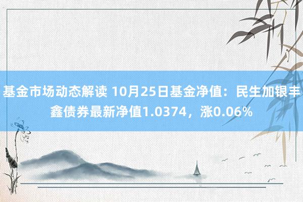 基金市场动态解读 10月25日基金净值：民生加银丰鑫债券最新净值1.0374，涨0.06%