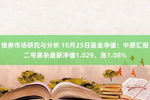 债券市场研究与分析 10月25日基金净值：中原汇报二号羼杂最新净值1.029，涨1.08%