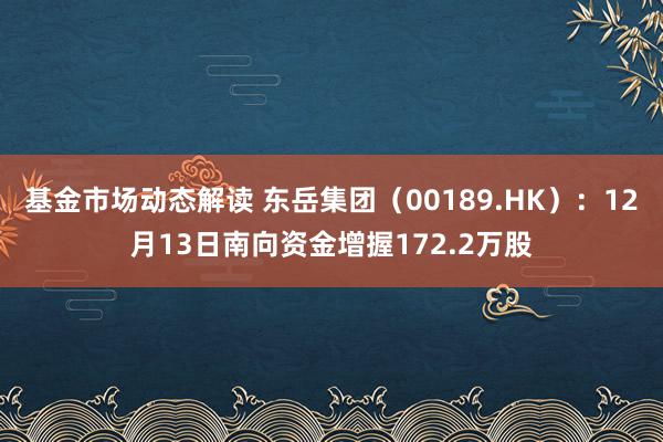 基金市场动态解读 东岳集团（00189.HK）：12月13日南向资金增握172.2万股