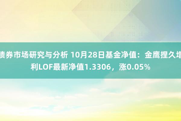 债券市场研究与分析 10月28日基金净值：金鹰捏久增利LOF最新净值1.3306，涨0.05%