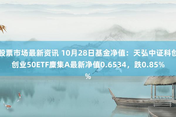 股票市场最新资讯 10月28日基金净值：天弘中证科创创业50ETF麇集A最新净值0.6534，跌0.85%