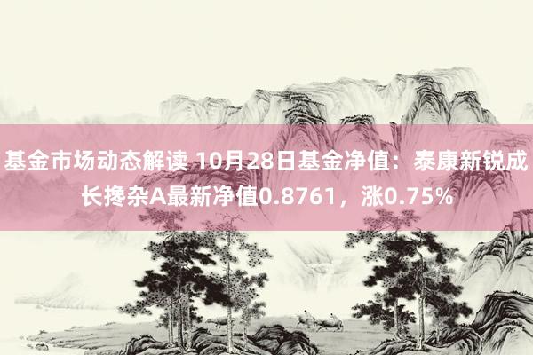 基金市场动态解读 10月28日基金净值：泰康新锐成长搀杂A最新净值0.8761，涨0.75%