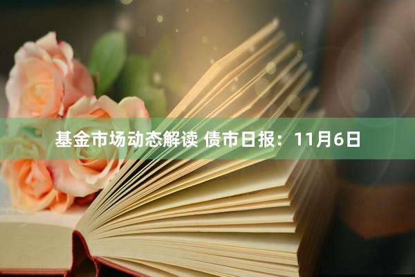 基金市场动态解读 债市日报：11月6日