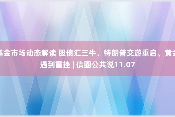 基金市场动态解读 股债汇三牛、特朗普交游重启、黄金遇到重挫 | 债圈公共说11.07