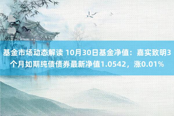 基金市场动态解读 10月30日基金净值：嘉实致明3个月如期纯债债券最新净值1.0542，涨0.01%