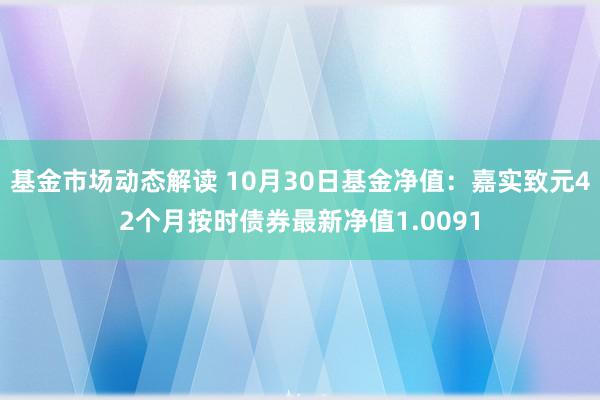 基金市场动态解读 10月30日基金净值：嘉实致元42个月按时债券最新净值1.0091