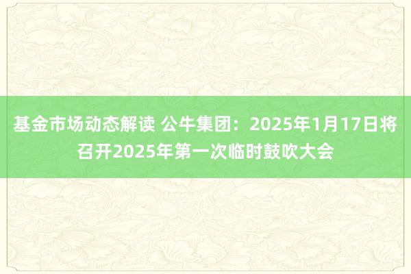 基金市场动态解读 公牛集团：2025年1月17日将召开2025年第一次临时鼓吹大会