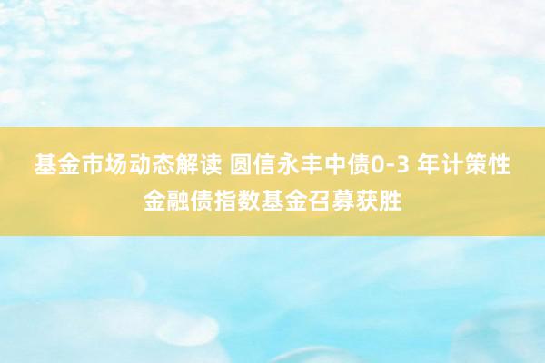 基金市场动态解读 圆信永丰中债0-3 年计策性金融债指数基金召募获胜