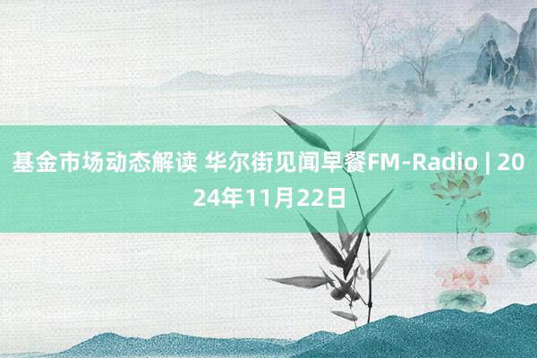 基金市场动态解读 华尔街见闻早餐FM-Radio | 2024年11月22日