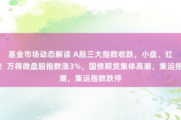 基金市场动态解读 A股三大指数收跌，小盘、红利领涨！万得微盘股指数涨3%，国债期货集体高潮，集运指数跌停