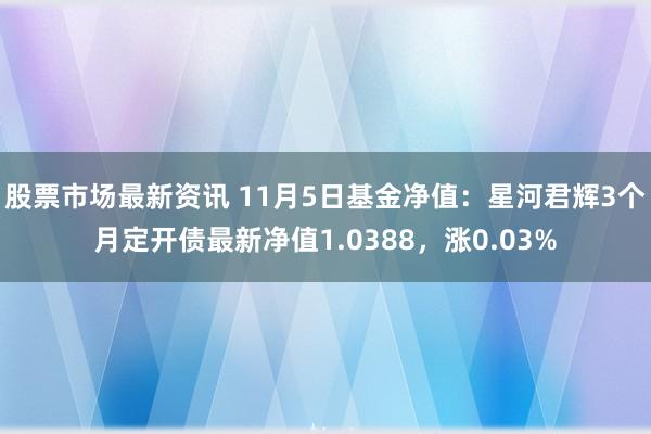 股票市场最新资讯 11月5日基金净值：星河君辉3个月定开债最新净值1.0388，涨0.03%