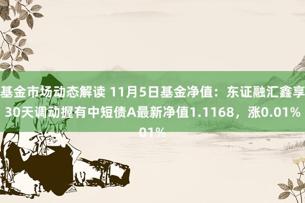 基金市场动态解读 11月5日基金净值：东证融汇鑫享30天调动握有中短债A最新净值1.1168，涨0.01%