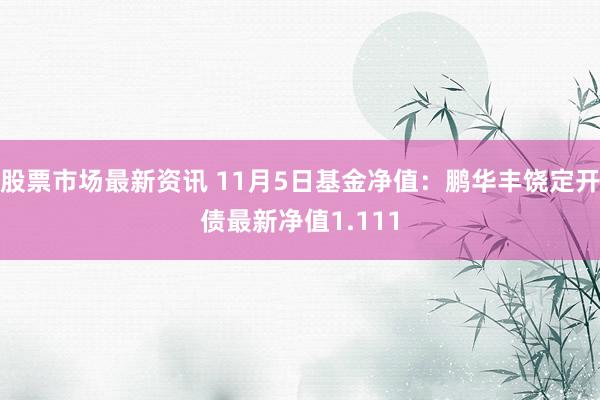 股票市场最新资讯 11月5日基金净值：鹏华丰饶定开债最新净值1.111