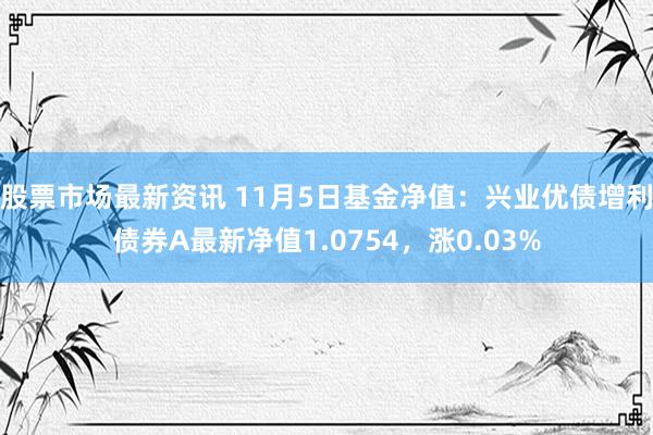 股票市场最新资讯 11月5日基金净值：兴业优债增利债券A最新净值1.0754，涨0.03%