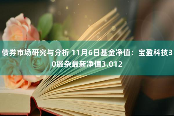 债券市场研究与分析 11月6日基金净值：宝盈科技30羼杂最新净值3.012