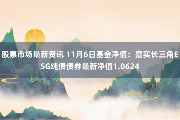 股票市场最新资讯 11月6日基金净值：嘉实长三角ESG纯债债券最新净值1.0624