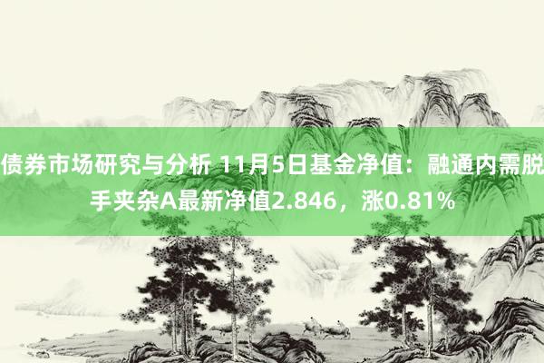 债券市场研究与分析 11月5日基金净值：融通内需脱手夹杂A最新净值2.846，涨0.81%