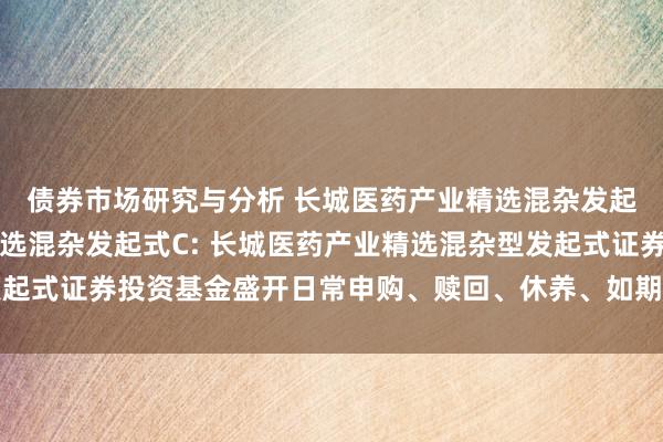 债券市场研究与分析 长城医药产业精选混杂发起式A,长城医药产业精选混杂发起式C: 长城医药产业精选混杂型发起式证券投资基金盛开日常申购、赎回、休养、如期定额投资业务的公告