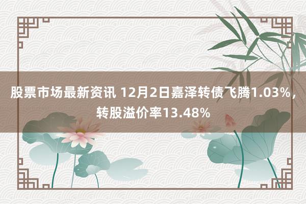 股票市场最新资讯 12月2日嘉泽转债飞腾1.03%，转股溢价率13.48%