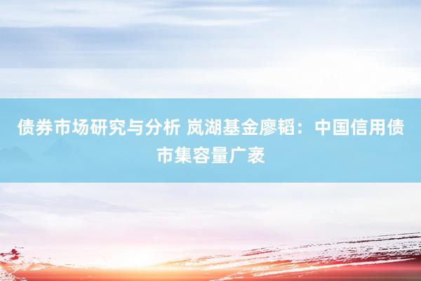 债券市场研究与分析 岚湖基金廖韬：中国信用债市集容量广袤