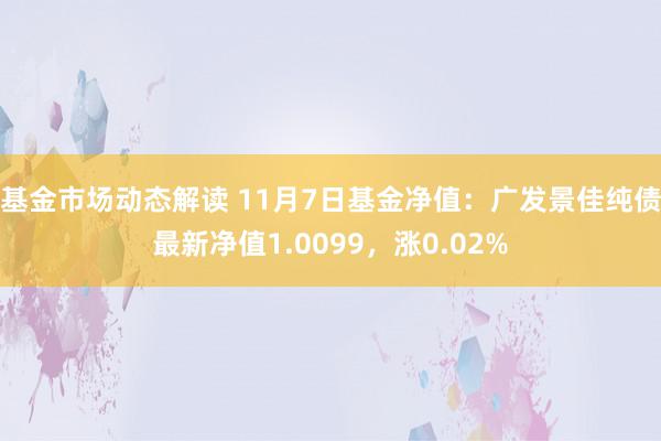 基金市场动态解读 11月7日基金净值：广发景佳纯债最新净值1.0099，涨0.02%