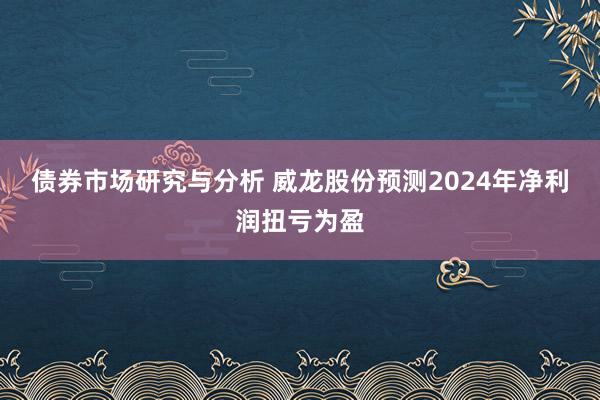 债券市场研究与分析 威龙股份预测2024年净利润扭亏为盈