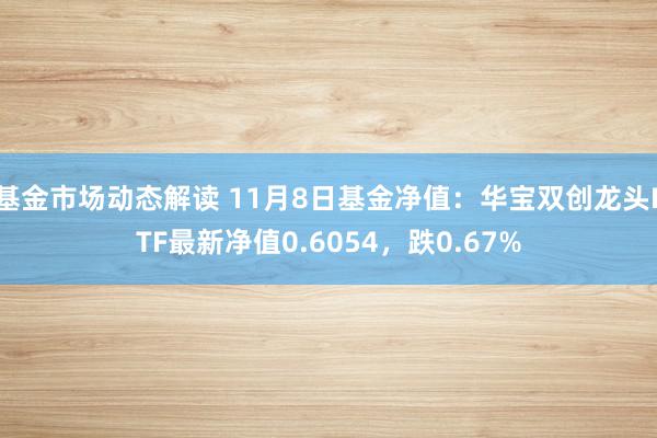 基金市场动态解读 11月8日基金净值：华宝双创龙头ETF最新净值0.6054，跌0.67%