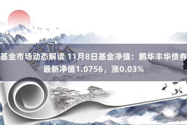 基金市场动态解读 11月8日基金净值：鹏华丰华债券最新净值1.0756，涨0.03%