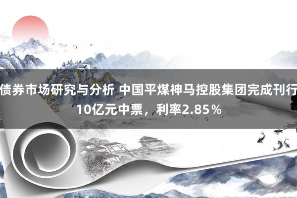 债券市场研究与分析 中国平煤神马控股集团完成刊行10亿元中票，利率2.85％