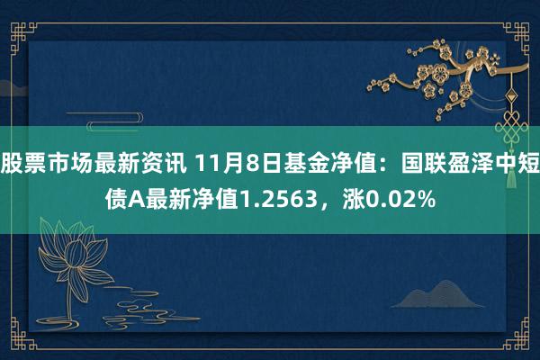 股票市场最新资讯 11月8日基金净值：国联盈泽中短债A最新净值1.2563，涨0.02%